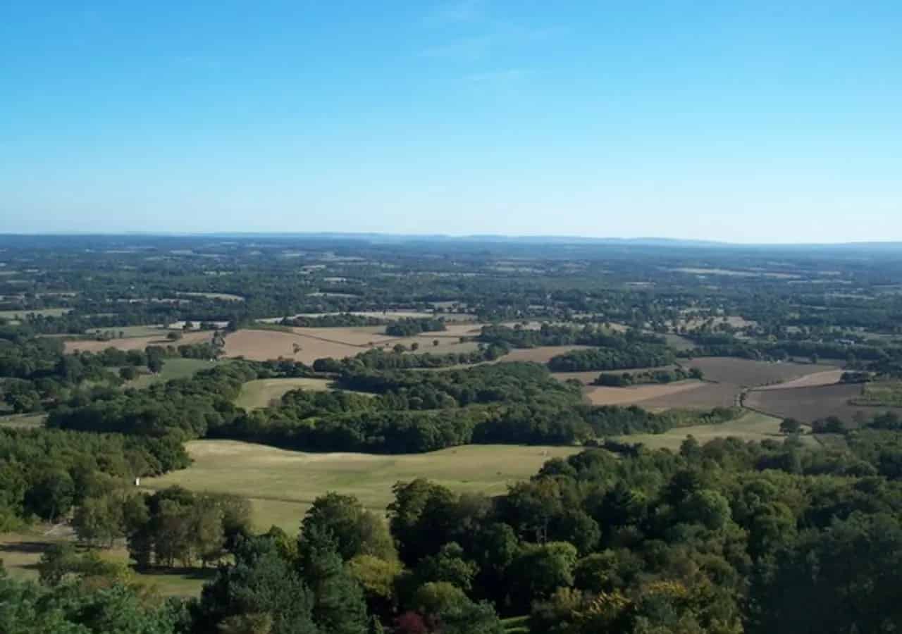 Countryside landscape in Surrey, England. Location context only; this is not a portrait of Sally Rossiter.